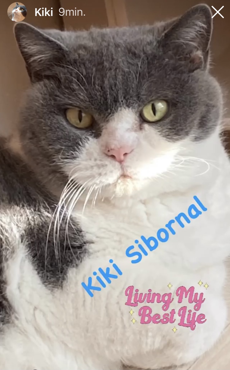 Kiki (1)